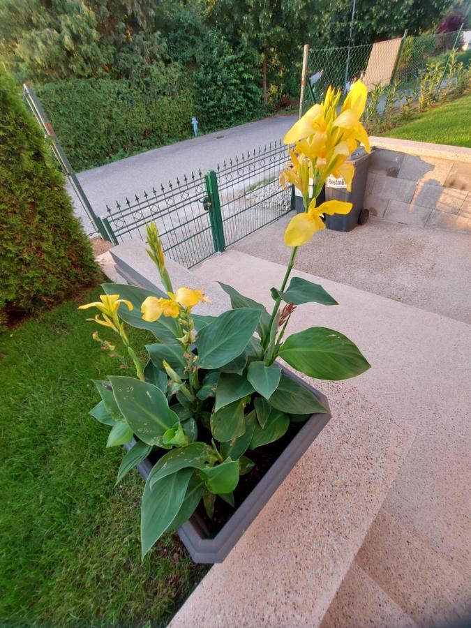Privatzimmer Roland Hutten Dış mekan fotoğraf